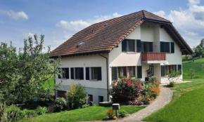 Steinern